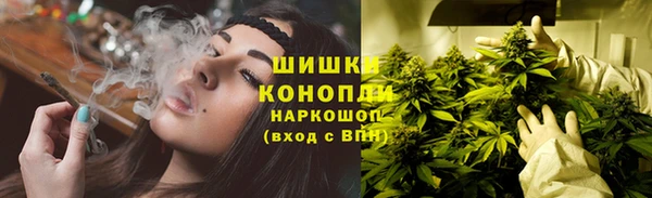 стаф Нефтекумск