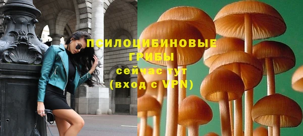 трава Нея