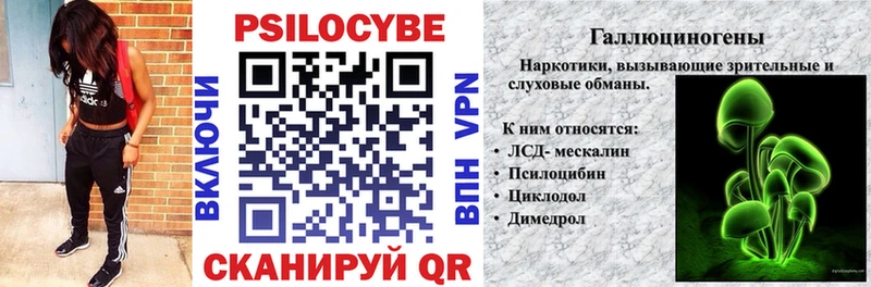 Галлюциногенные грибы мицелий  Купить  Лермонтов 